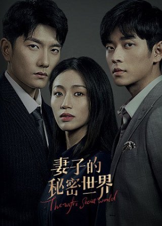 Thế Giới Bí Mật Của Người Vợ (The Wife's Secret World 2022)