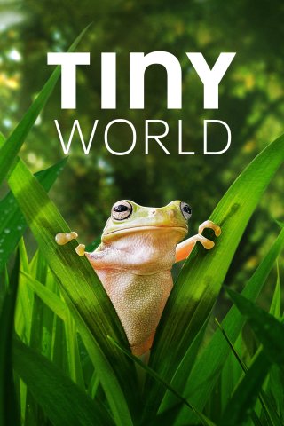 Thế Giới Siêu Nhỏ (Phần 2) (Tiny World (Season 2) 2021)