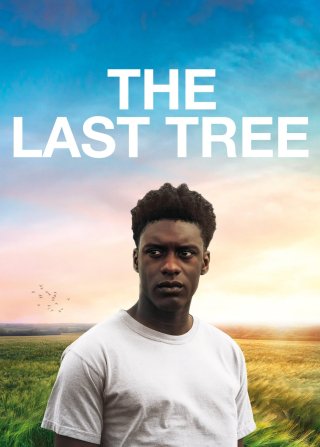 The Last Tree (The Last Tree 2019)