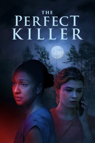 The Perfect Killer (The Perfect Killer 2025)