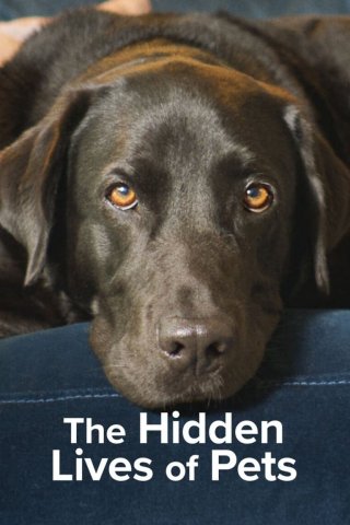 The Secret Life of Our Pets (The Secret Life of Our Pets 2022)