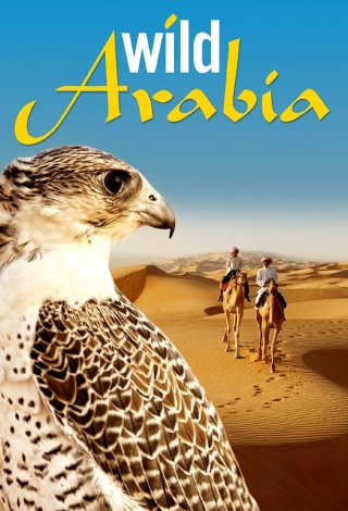 Thiên Nhiên Hoang Dã Ả Rập (Wild Arabia 2013)