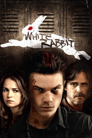Thỏ trắng (White Rabbit)