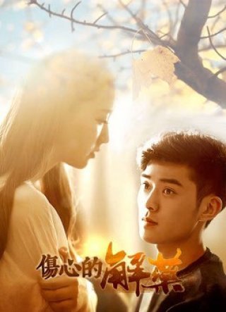 Thuốc Chữa Đau Thương (An Antidote For the Grieved 2019)