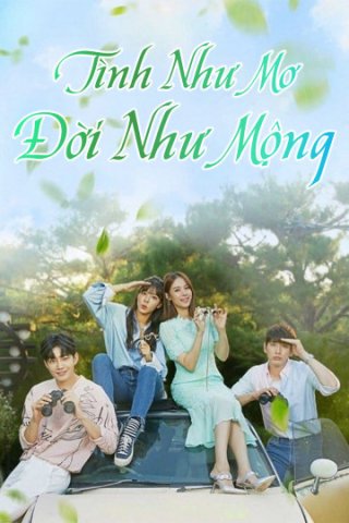 Tình Như Mơ Đời Như Mộng (Beautifull Love, Wonderful Life 2019)