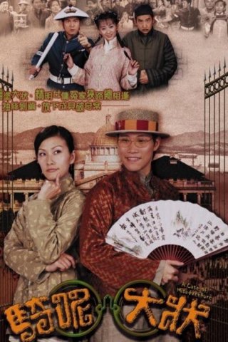 Trạng Sư Hồ Đồ (A Case of Misadventure 2002)