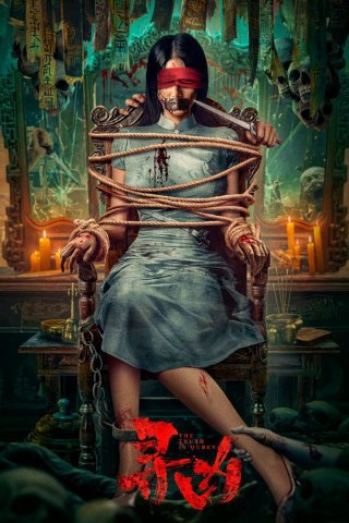 Truy Tìm Hung Thủ (The Truth is Murky 2025)