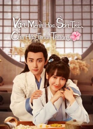 Vận Mệnh Hoa Sơn Trà Của Hứa Thuần Thuần (A Camellia Romance 2021)