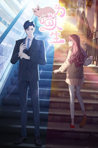 Vì Miêu Nhân Sinh (Reborn as a Cat 2025)