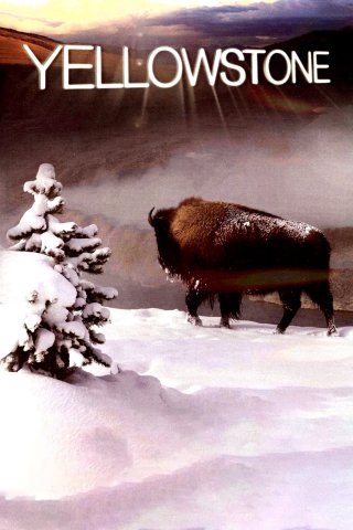 Yellowstone (Yellowstone 2009)