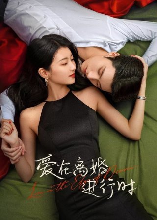 Yêu Khi Sắp Ly Hôn (Love in the Edge of Divorce 2025)