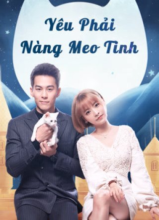 Yêu Phải Nàng Meo Tinh (Falling in Love With Cat 2020)